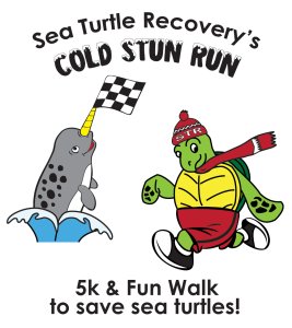 Sea Turtle Race: Cold Stun Run Logo