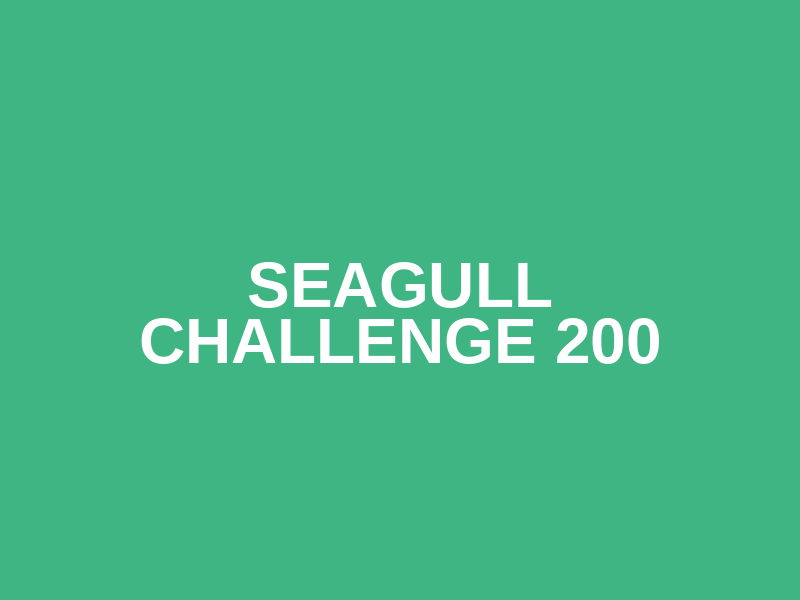 Seagull Challenge 200