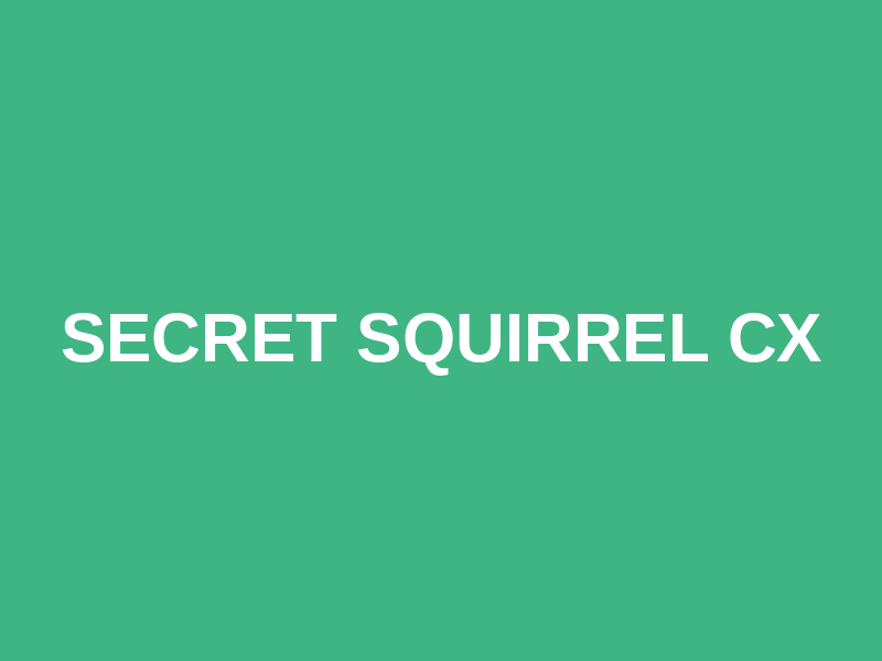 Secret Squirrel CX Logo