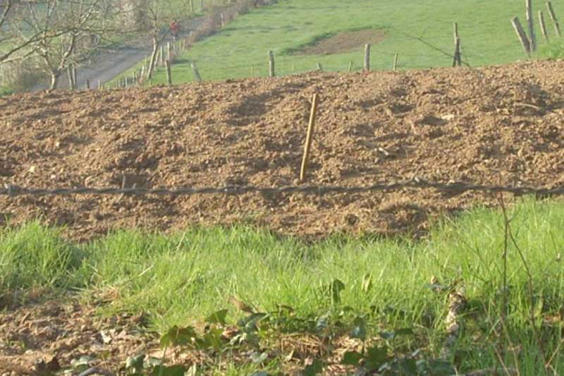 Semi Marathon de  Bullion