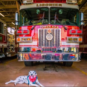 Set Your Year On Fire 5k January 4th 2026 10am Logo