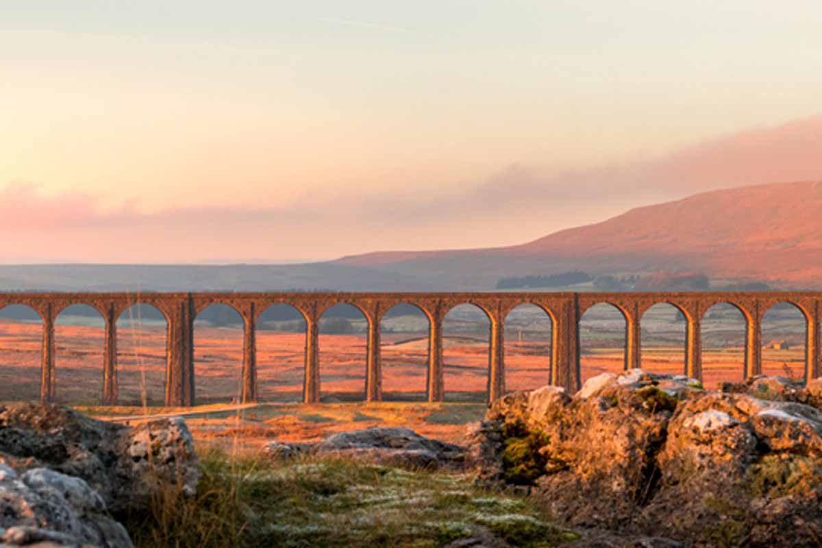 Settle Road Race 10km, 10 mile, Half marathon Logo