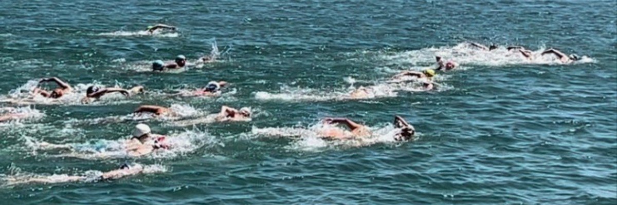 Shark Attack at Twin Lakes