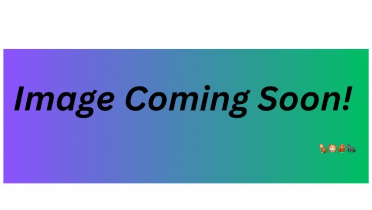 Shizaru Challenge Day 1 Logo