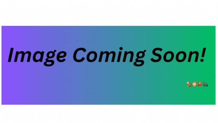 Shizaru Challenge Day 2 Logo