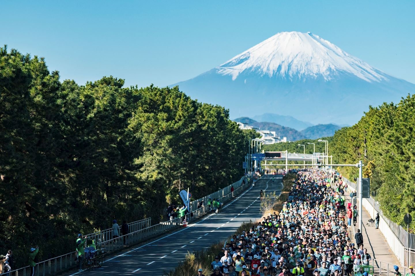 Shonan International Marathon