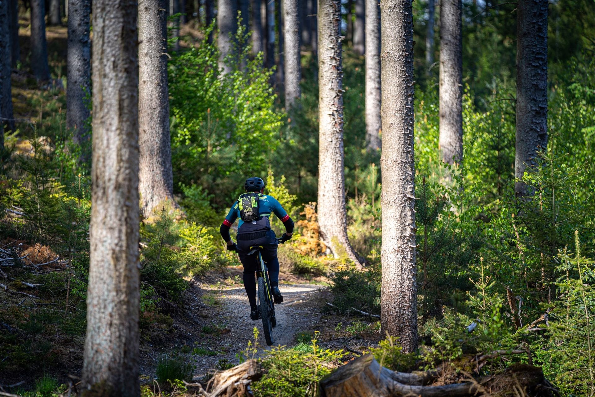 SilkeborgMTB/Gravel 2027