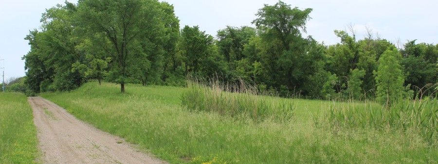 Sisu Backyard Ultra at Lake Rebecca
