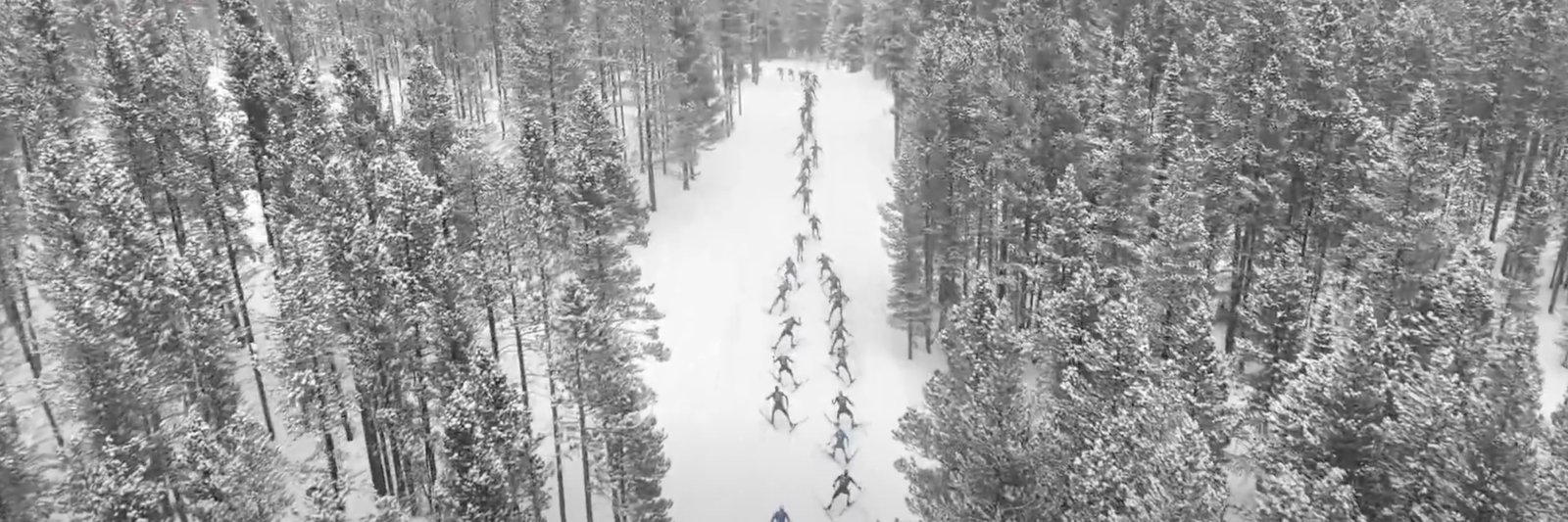 Skyloppet