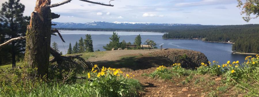 Slate Run Trail Race