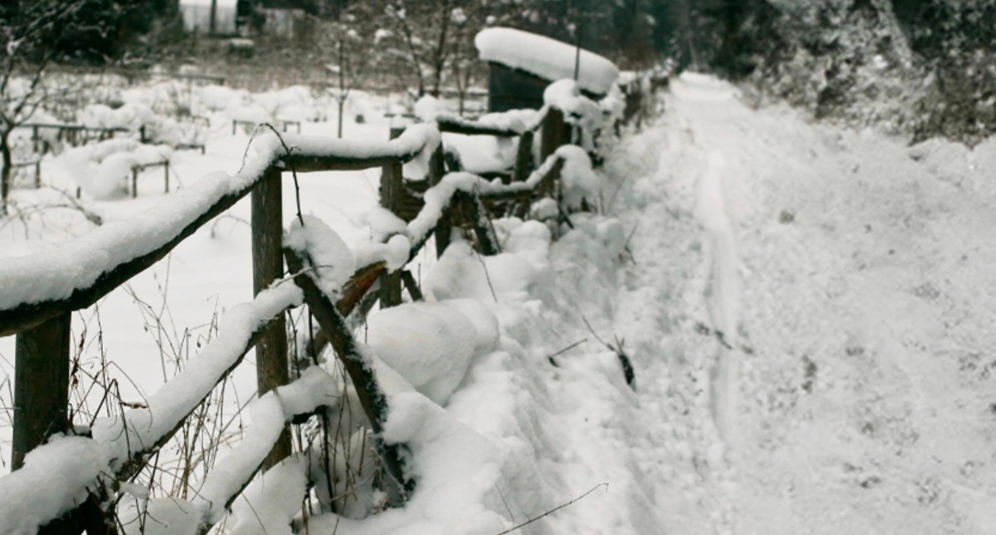 Slawit Snowstorm Shuffle