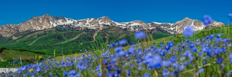 Snowbasin by UTMB - 58K Logo