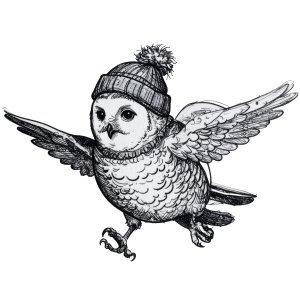 Snowy Owl Trail Race