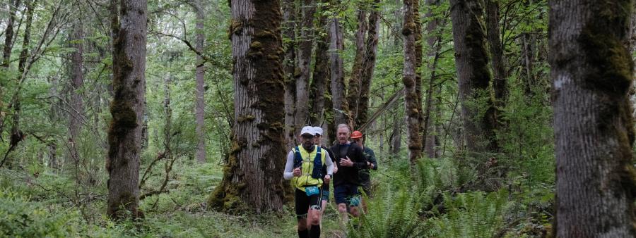 Soaring Eagle Trail Run