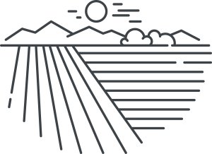 Soggy Bottoms Back Yard Ultra Logo