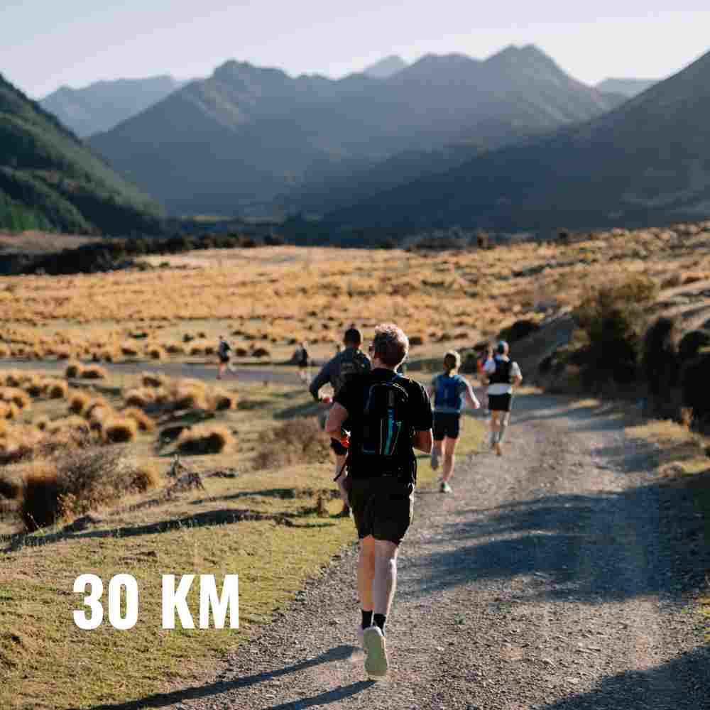 Solar Power NZ Skedaddle Logo