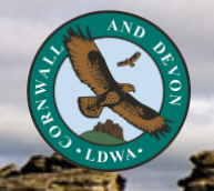 Somerset Not Levels 50 Logo
