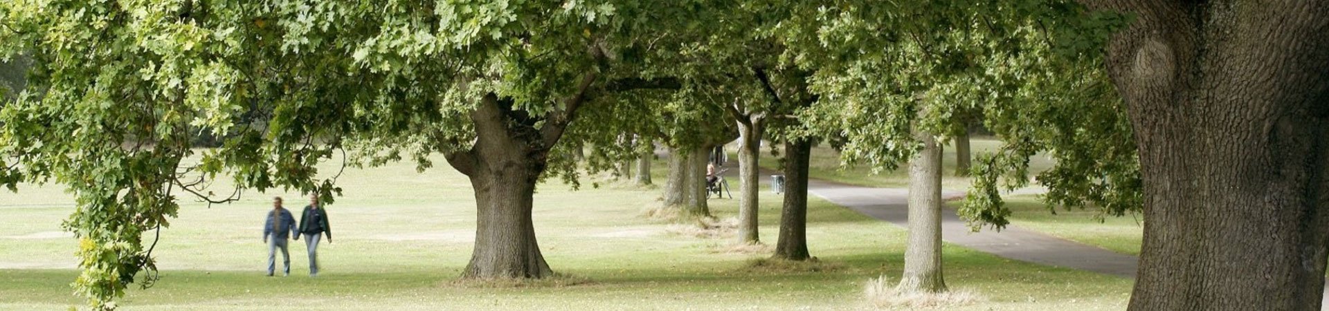 Southampton Common 10K Charity Fun Run