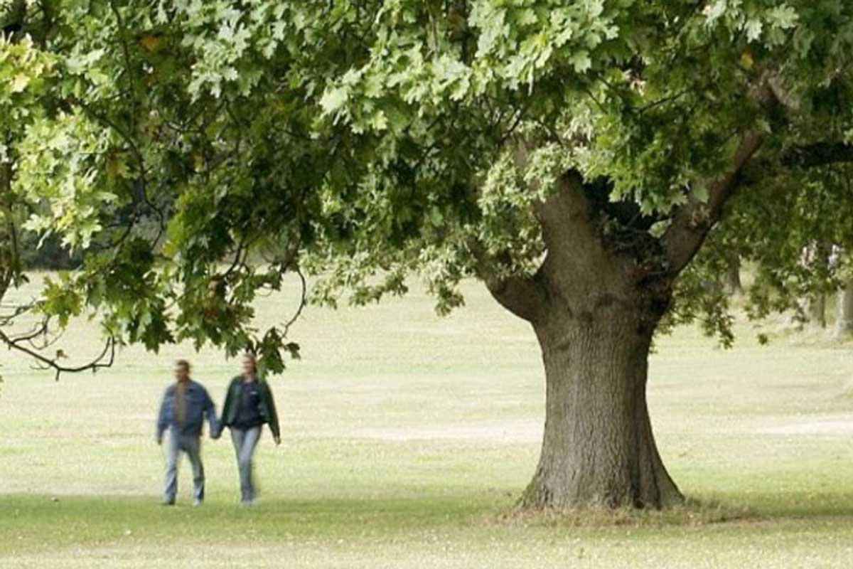Southampton Common 10K Logo