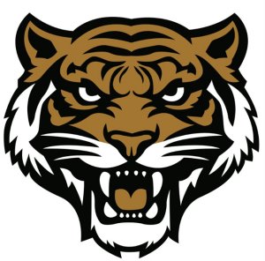 Southern Alamance Middle School Tigers 5k/Fun Run Logo