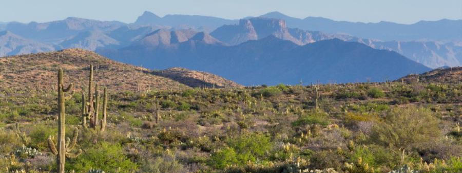 Southern Arizona Triple 50 Logo
