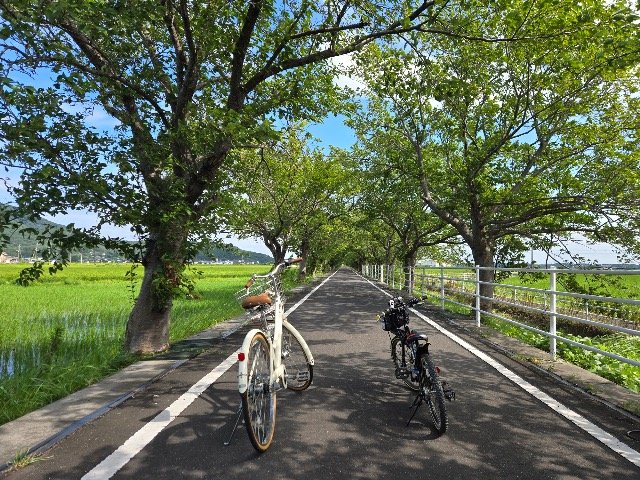 PEDAL DAY GO Mt. TSUKUBA - Parent-Child Mission Ride (PEDAL DAY GO Mt. TSUKUBA親子で楽しむミッションライド)