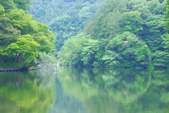 60th Kuroyama-Kaminokori Lake Relay Race (第60回 黒山・鎌北湖駅伝大会)