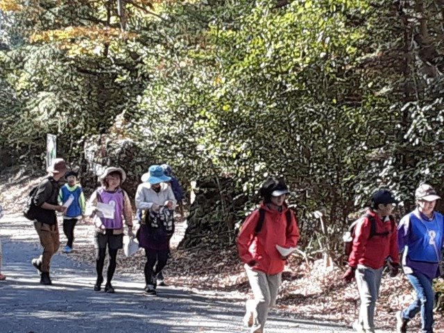 Enjoy Orienteering in Autumn with Round Fires! (秋の丸火でオリエンテーリングを楽しもう！)