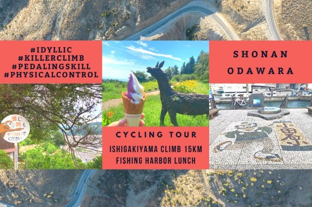 Ishigakiyama Yachijo Hill Climb & Odawara Fishing Port Meshi 15km Race (石垣山一夜城ヒルクライムと小田原漁港めし15km)