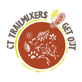 Spring Fling 600 Logo