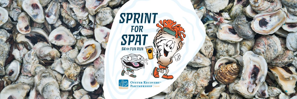 Sprint for Spat