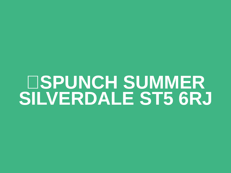 ☀️SPUNCH SUMMER SILVERDALE ST5 6RJ