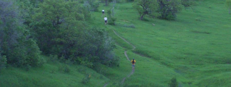 Squaw Peak 50 Mile Trail Run