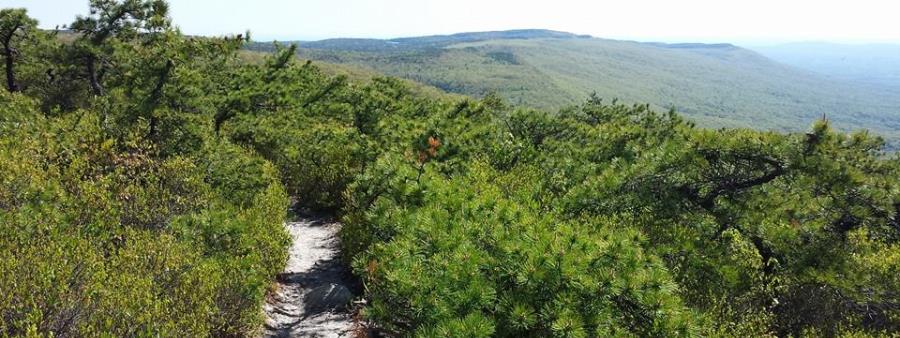 SRT - Shawangunk Ridge Trail Run