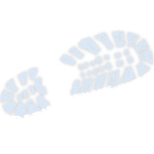 Stampede In The Park 5K and Fun Run