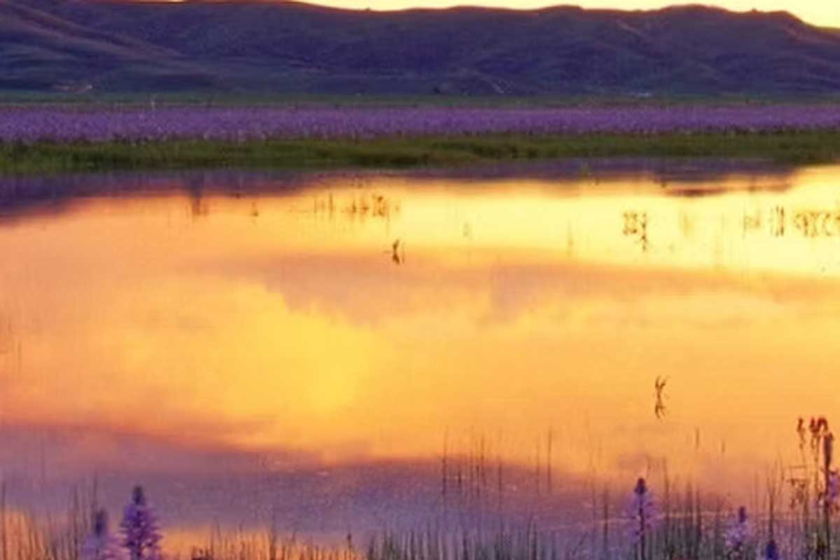 Steamboat Lake Sprint Triathlon