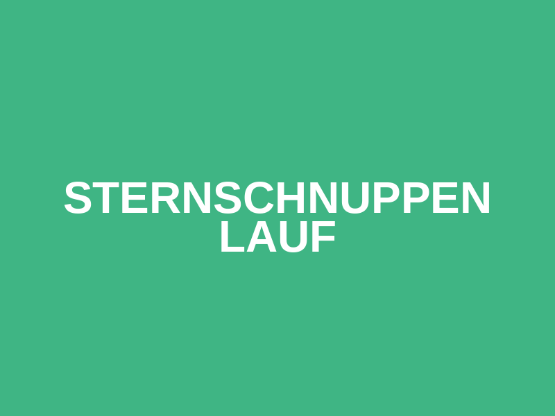 Sternschnuppen Lauf Logo