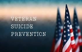 Stride For Change: Supporting Our Veterans and Military Families