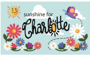 Sunshine for Charlotte 5k & Fun Run 2026 Logo