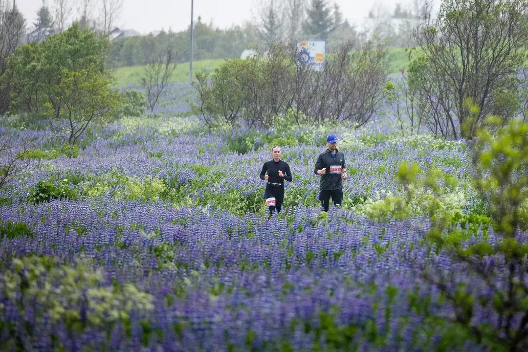 Suzuki Midnight Sun Run