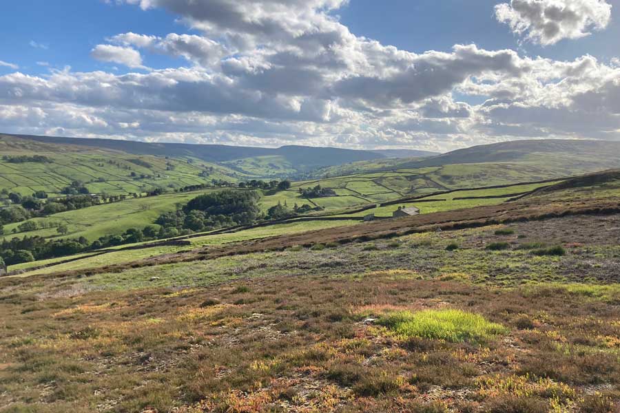 Swaledale Marathon Logo