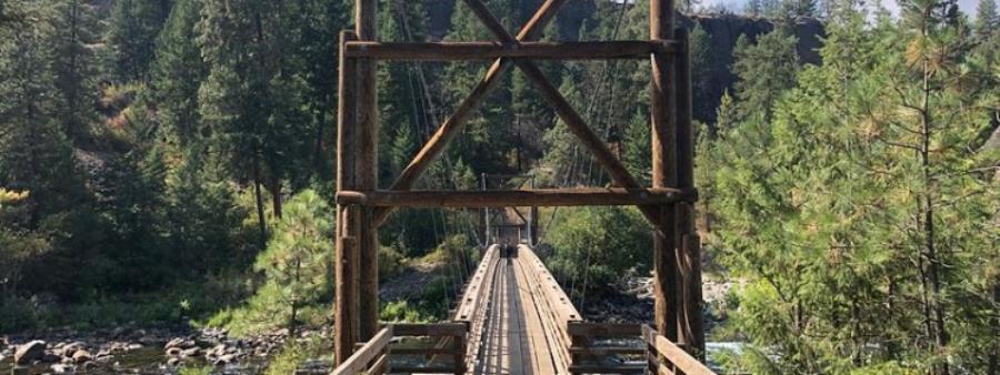 Switchback Sorrows 50k Trail Race