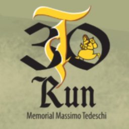 T30 Run Logo