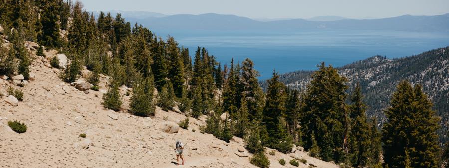 Tahoe 100K