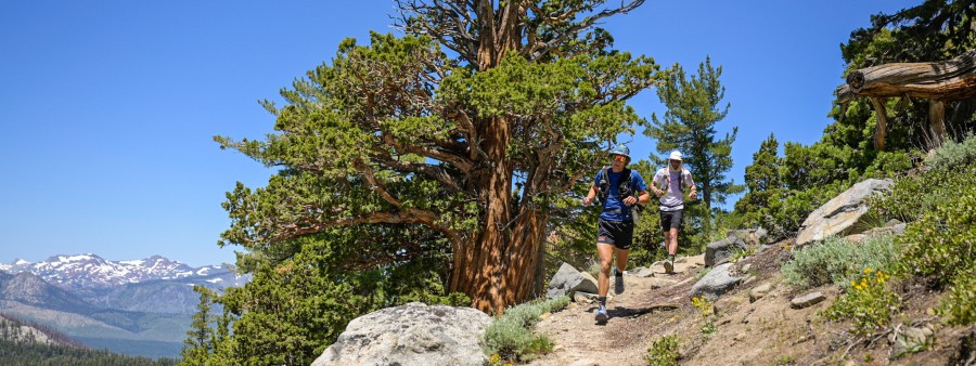 Tahoe 200 Endurance Run 2027 Logo