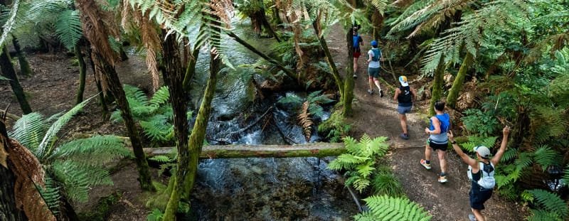 Tarawera Ultra-Trail by UTMB® - T14 Logo
