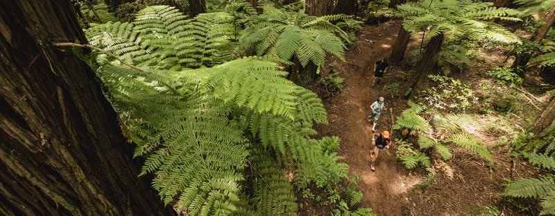 Tarawera Ultra-Trail by UTMB® - T21 Logo