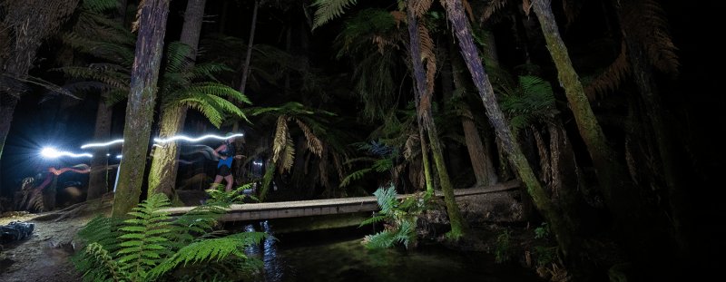 Tarawera Ultra-Trail by UTMB® - TMiler Logo