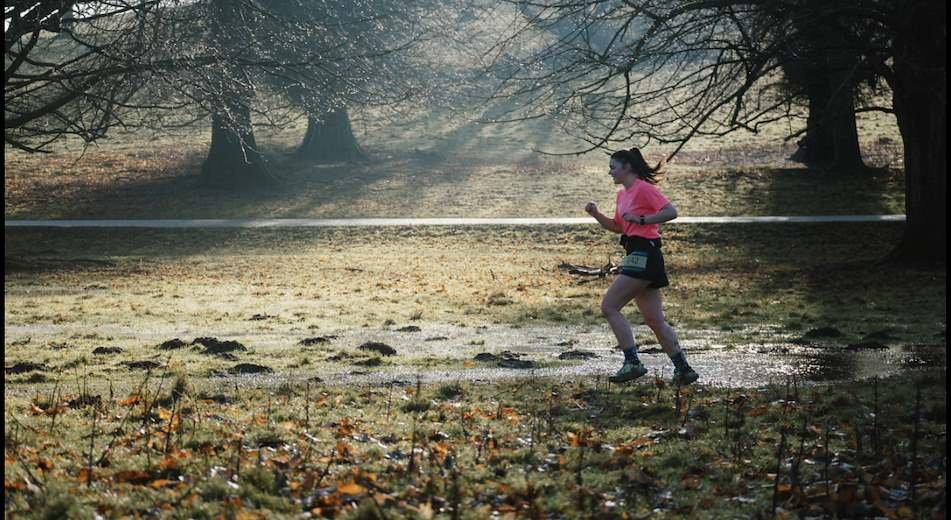 TATTON PARK WILD TRAIL RUNS 2027 Logo