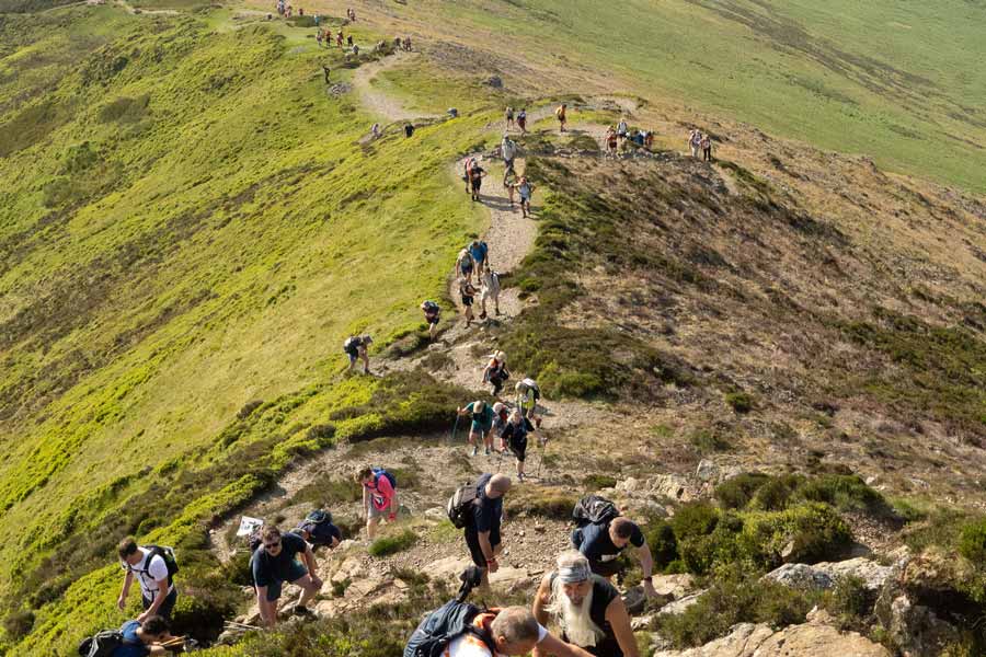 The 10 in 10 and Family 5 in 5 Challenge